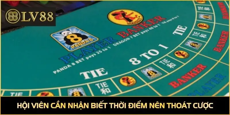 Hội viên cần nhận biết thời điểm nên thoát cược