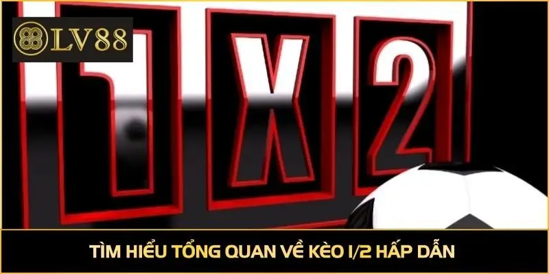 Tìm hiểu tổng quan về kèo 1/2 hấp dẫn
