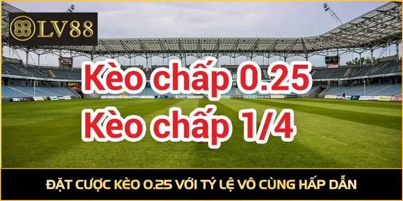 Đặt cược kèo 0.25 với tỷ lệ vô cùng hấp dẫn