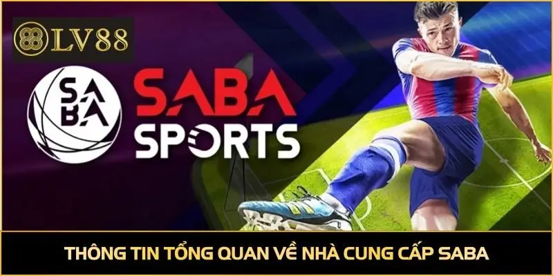 Thông tin tổng quan về nhà cung cấp SABA