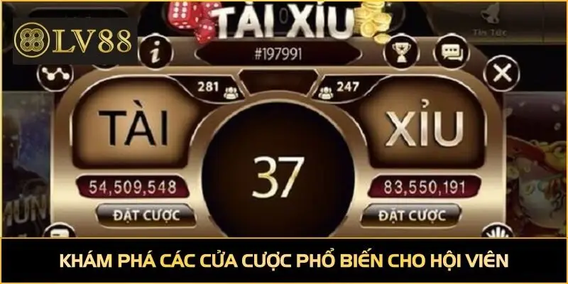 Khám phá các cửa cược phổ biến cho hội viên